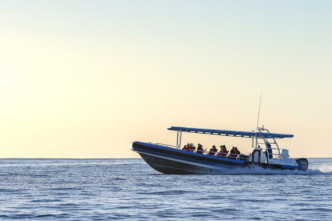 Hunter Coastal Adventure Tour by Boat from Newcastle - Value for Money: Is $89.66 a Good Deal?