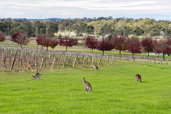 Hunter Valley All Inclusive Boutique Wine Tour from Sydney - Pokolbin Boutique Wineries: Tastings With a Real Sense of Place