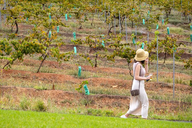 Hunter Valley All Inclusive, Wine, Chocolate Tasting and Lunch - Guide Energy and On-the-Road Vibe: What Changes the Day