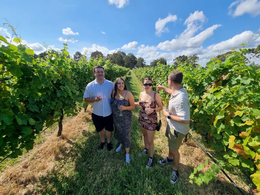 Hunter Valley: Beer & Wine Group Tour - Key Highlights You’ll Actually Care About