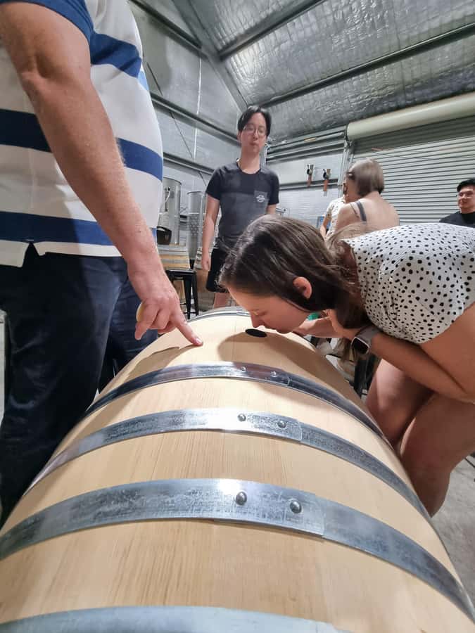Hunter Valley: Beer & Wine Group Tour - The Tour Guide Factor: Why It Feels Relaxed