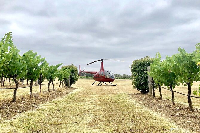 Hunter Valley Helicopter Tour with a Bubbly Breakfast - Cessnock Airport Takeoff and the VIP Start