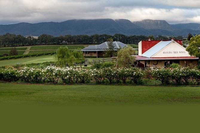 Hunter Valley Highlights Private Wine Tour from Sydney - Hunter Valley Chocolate Company: A Sweet Finale Without Taking Over the Day