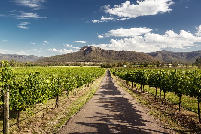 Hunter Valley Highlights Private Wine Tour from Sydney - What $700 AUD Per Person Really Buys You (And What It Doesn’t)