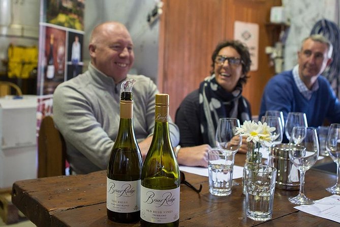 Hunter Valley Highlights Private Wine Tour from Sydney - Briar Ridge Vineyard: First Tastings with Real City-View Energy