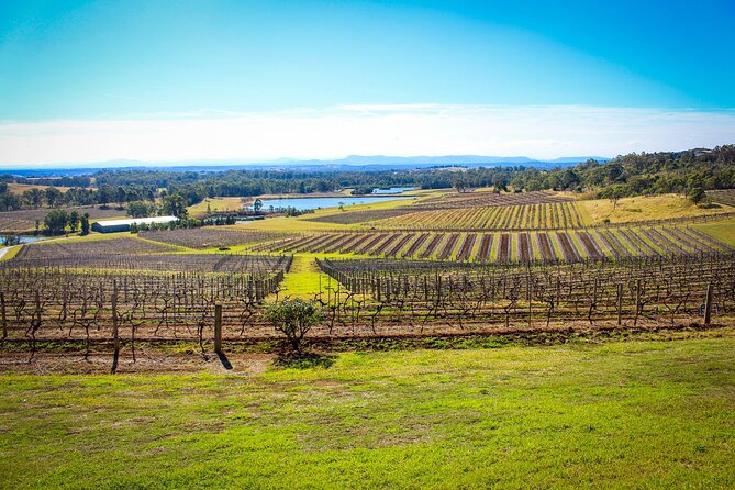 Hunter Valley Private Tour - Who this Hunter Valley private tour suits best