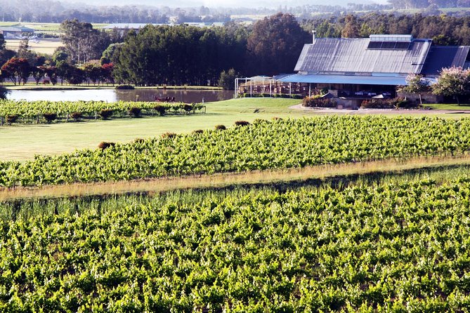 Hunter Valley Private Wine Tasting Tour from Sydney - Key points you’ll care about