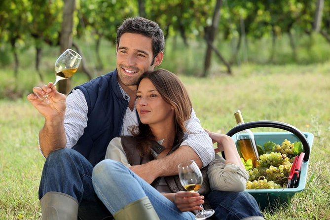 Hunter Valley Private Wine Tasting Tour from Sydney - Sydney to Hunter Valley: the ride you actually look forward to