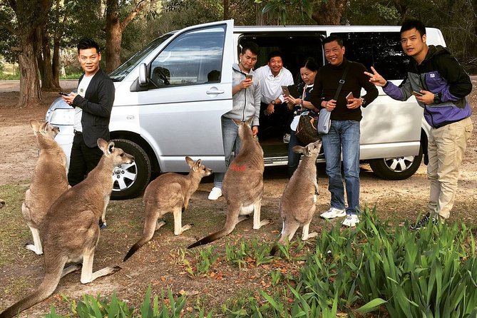 Hunter Valley Private Wine Tasting Tour from Sydney - Winery stop 3: boutique, more intimate, and after-lunch pace