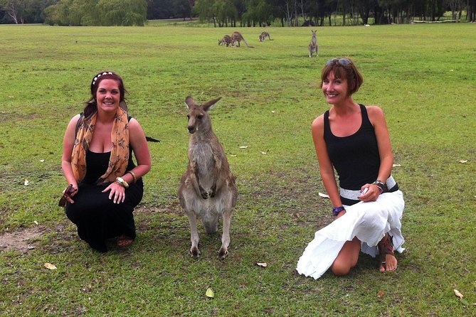 Hunter Valley Private Wine Tasting Tour from Sydney - Private pickup, seatbelts, and the Glenn factor
