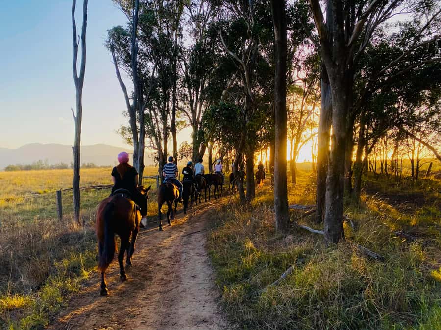 Hunter Valley: Sunset Horse Riding Tour 90min - Key things to know before you ride
