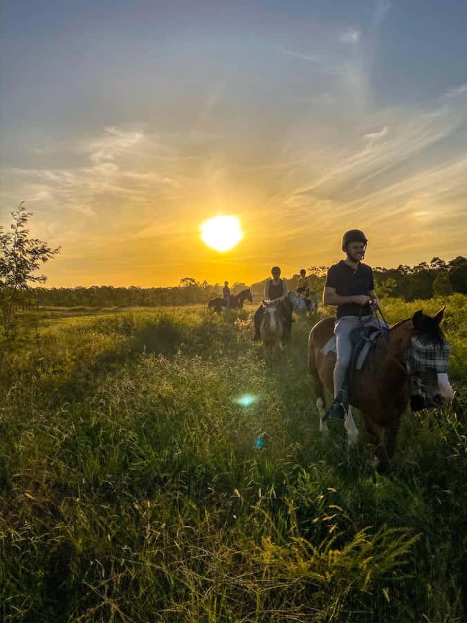Hunter Valley: Sunset Horse Riding Tour 90min - Hunter Valley at golden hour: what makes this ride special