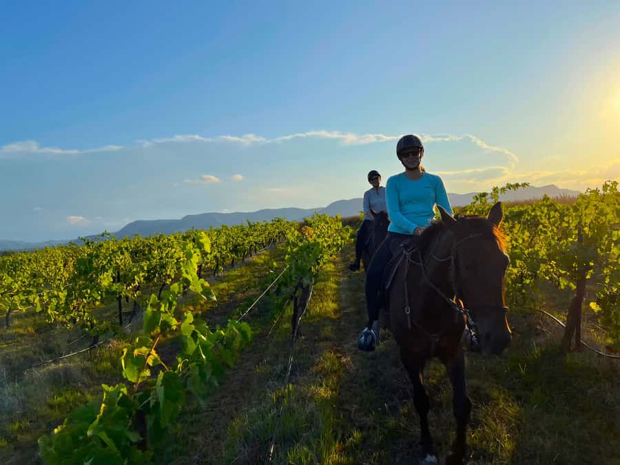 Hunter Valley: Sunset Horse Riding Tour 90min - Your first minutes in the saddle: helmet, guide briefing, and getting to know your horse