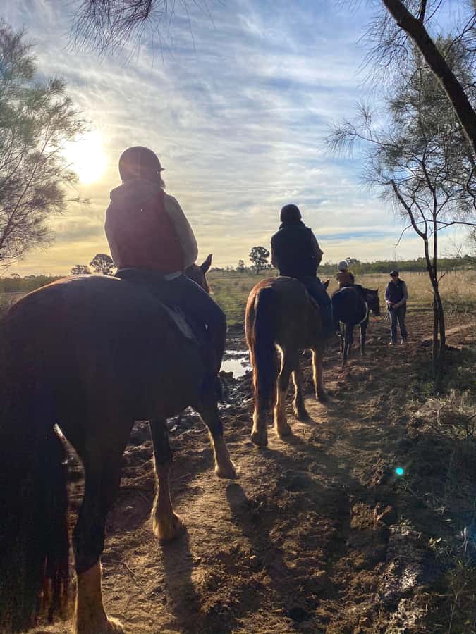 Hunter Valley: Sunset Horse Riding Tour 90min - A walking pace through bushland and farmland: what the route feels like