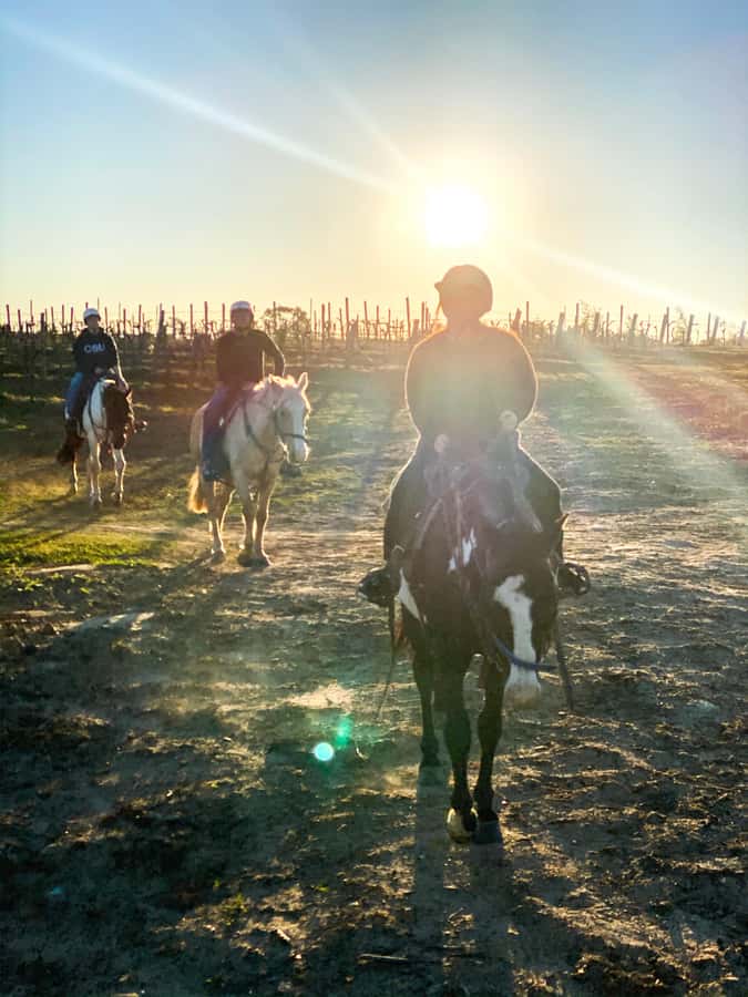 Hunter Valley: Sunset Horse Riding Tour 90min - Pokolbin-area scenery and the slow build toward sunset