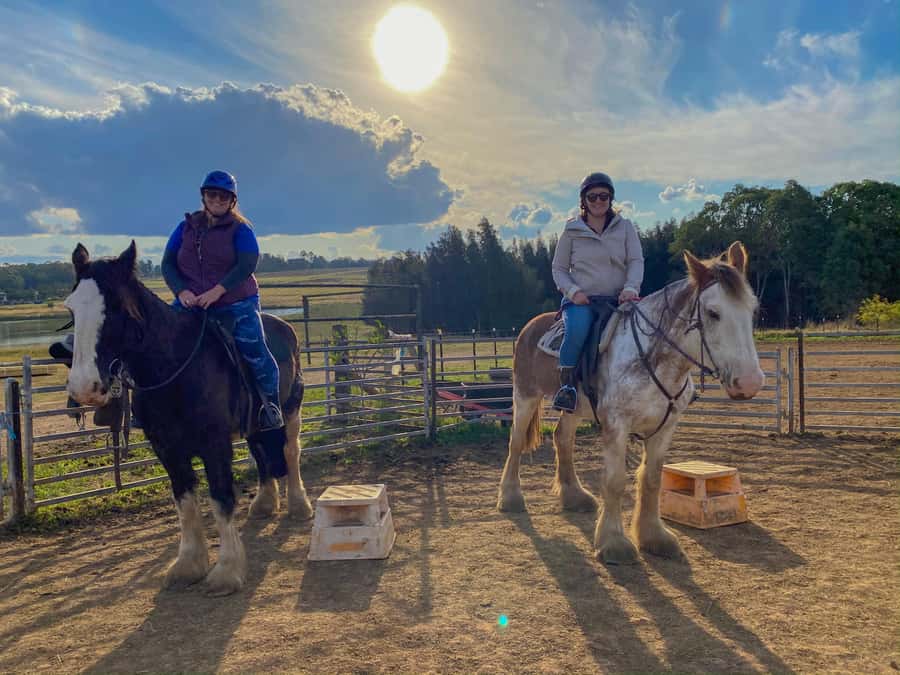 Hunter Valley: Sunset Horse Riding Tour 90min - Price and value: does $123 for 90 minutes make sense?