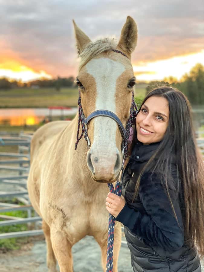 Hunter Valley: Sunset Horse Riding Tour 90min - Who this Hunter Valley sunset horse ride is best for