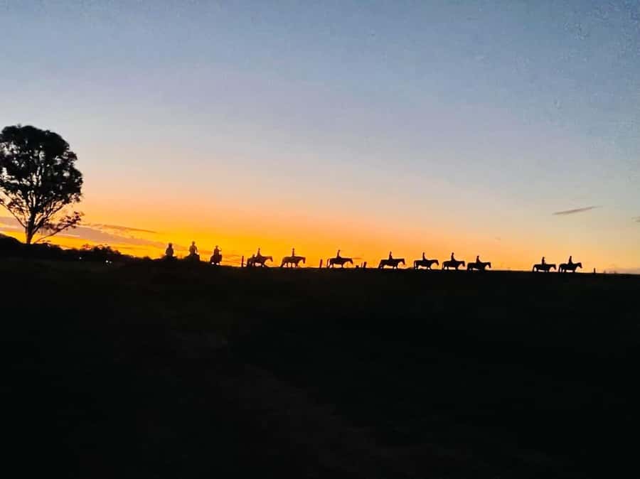 Hunter Valley: Sunset Horse Riding Tour 90min - Where you meet: inside Hunter Valley Resort, at the Farm Adventure Centre shed