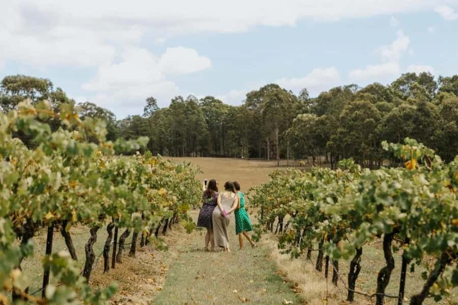 Hunter Valley: Tastes of the Hunter Half Day Tour - Cellar door number one: wine tasting with a cheese plate
