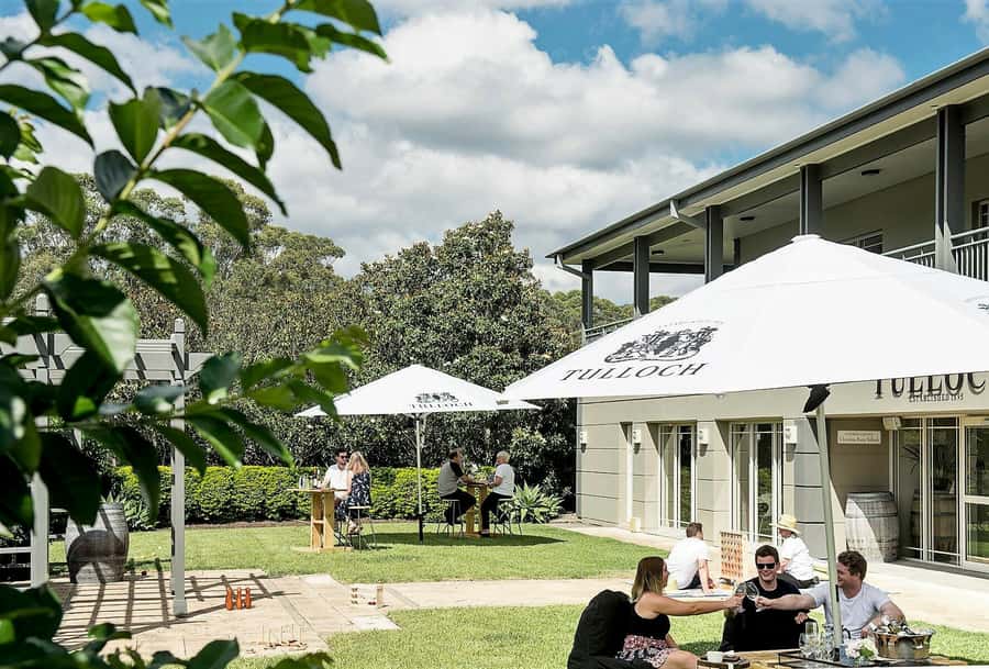 Hunter Valley: Tulloch Wine Tasting and Chocolate Pairings - The 45-Minute Pacing: Cellar Door Seating Without the Chaos