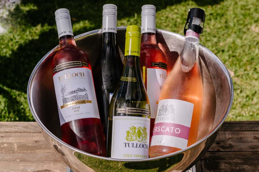 Hunter Valley: Tulloch Wines Mystery Wine & Cheese Tasting - Cheese and charcuterie pairings: what makes the food feel part of the tasting