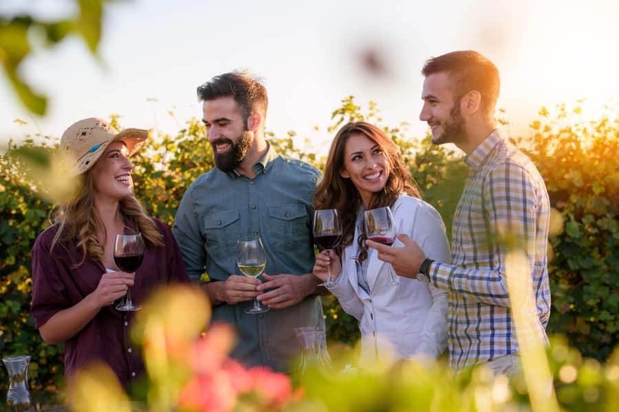 Hunter Valley: Wine, Chocolate and Lunch All Inclusive Tour - Sobels Wines: your first tasting with real production context