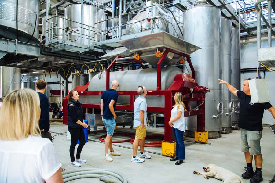 Hunter Valley: Wine, Spirits, and Cheese Tour with Lunch - Cheese, Chocolate, and Wine Pairing That Actually Feels Like Food