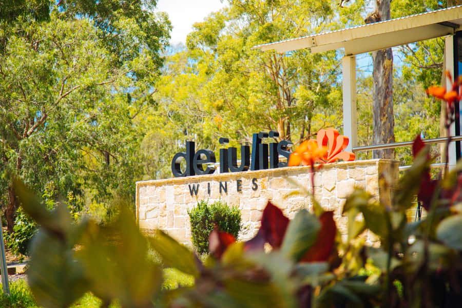 Hunter Valley: Wine, Spirits, and Cheese Tour with Lunch - Price and Value: Is $190 Fair for What You Get?