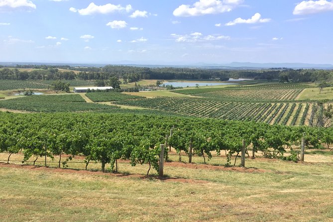 Hunter Valley Wine Tasting Private Tour From Sydney - Price and Value: What You Pay, What You Don’t, and How It Adds Up