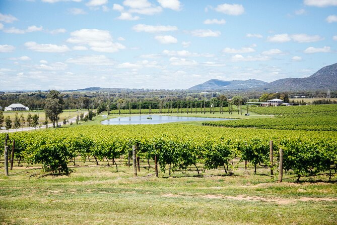 Hunter Valley Wine Tasting Tour from Sydney - Lunch at Hunter Valley Resort + Farm: A Real Break, Not a Parking Lot Picnic