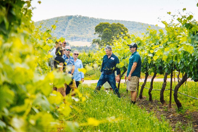 Hunter Valley Wine Tasting Tour from Sydney - Iron Gate Estate and Hunter Farm Wines: Where the Tasting Style Becomes the Point