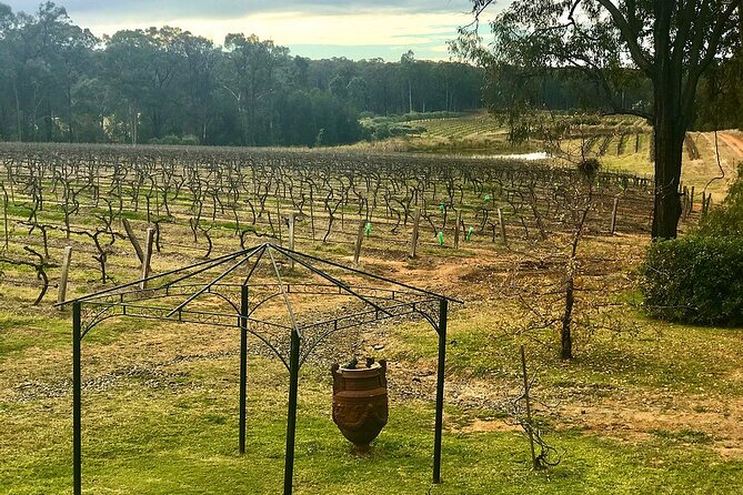 Hunter Valley Wine Tour from Sydney: 3 Wineries & Vineyard Picnic - Hunter Valley Chocolate Company: the sweet reset you’ll remember