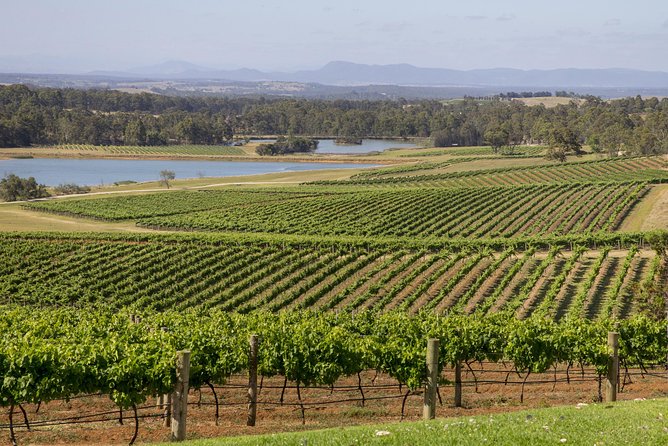 Hunter Valley Wine Tour from Sydney with Lunch and 3 Cellar Door Tastings - Stop 3: Hunter Valley Smelly Cheese Shop (why it works)