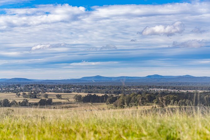 Hunter Valley Wine Tour from Sydney with Lunch and 3 Cellar Door Tastings - Three cellar doors in Pokolbin: how the tastings are set up
