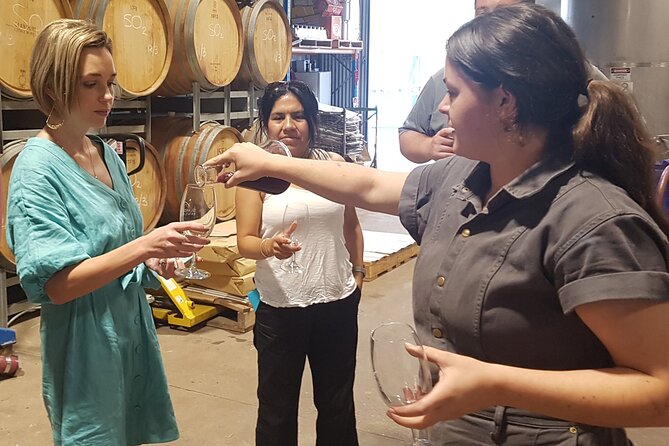 Hunter Valley Wine Tour + Lunch, Gin, Cheese, Choc from Newcastle - Newcastle to Hunter Valley: a day trip that actually feels easy