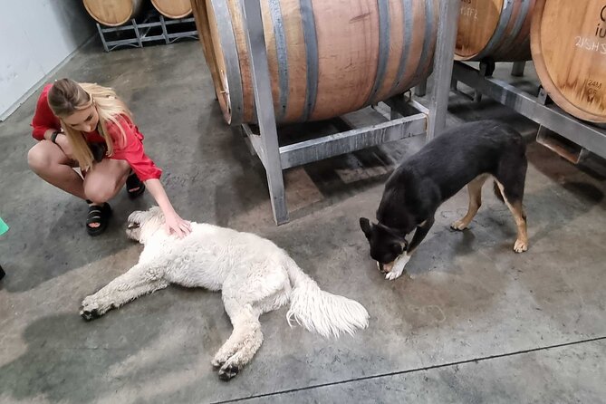 Hunter Valley Wine Tour + Lunch, Gin, Cheese, Choc from Newcastle - Meet your guide: the difference between a sip tour and a real day out