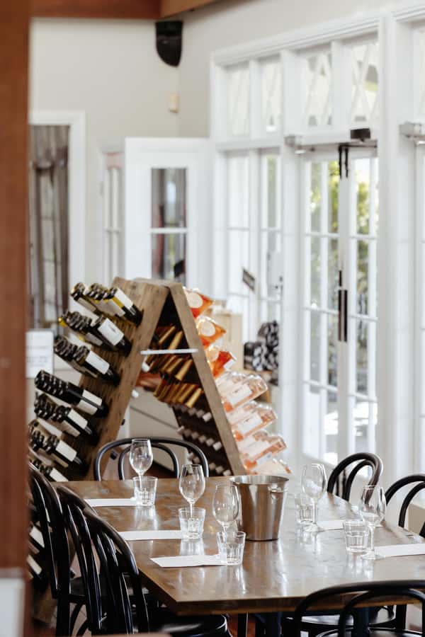 Hunter Valley: Wine Tour with 2-Course Lunch, Choc & Cheese - Mount Pleasant Wines: the Pinot Noir moment and big estate views