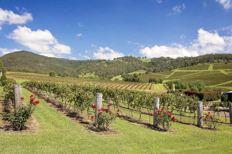 Hunter Valley: Wine Tour with 3 Tastings and Garden Lunch - Should You Book This Hunter Valley Wine Tour?