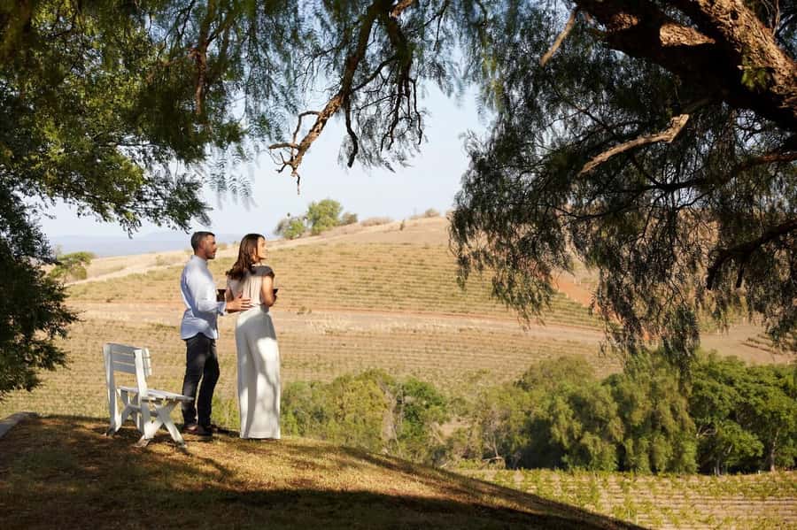 Hunter Valley: Wine Tour with 3 Tastings and Garden Lunch - Guides, Humor, and Why the Day Feels Smooth