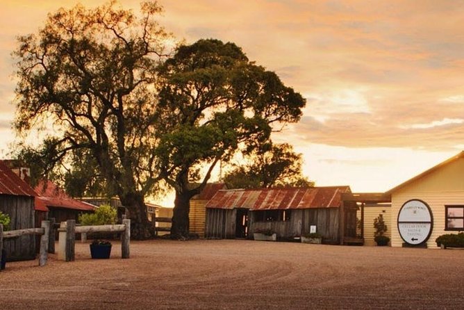 Hunter Valley Wine Tours | Wine Tasting Tours from Sydney - Cheese and chocolate breaks: the easy win for non-wine lovers