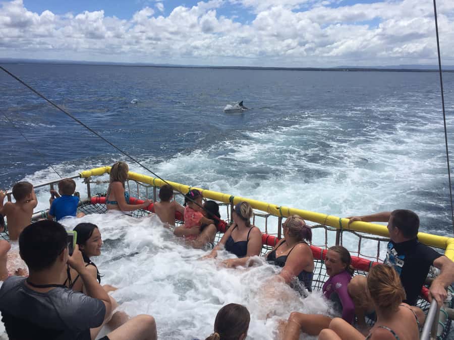 Huskisson: Dolphin Cruise & Boom Netting Experience - Entering Jervis Bay from Huskisson: meeting point and timing