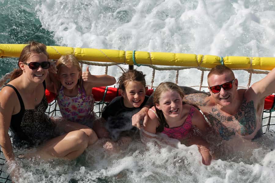 Huskisson: Dolphin Cruise & Boom Netting Experience - Dolphin spotting in the bay: what bottlenose encounters feel like