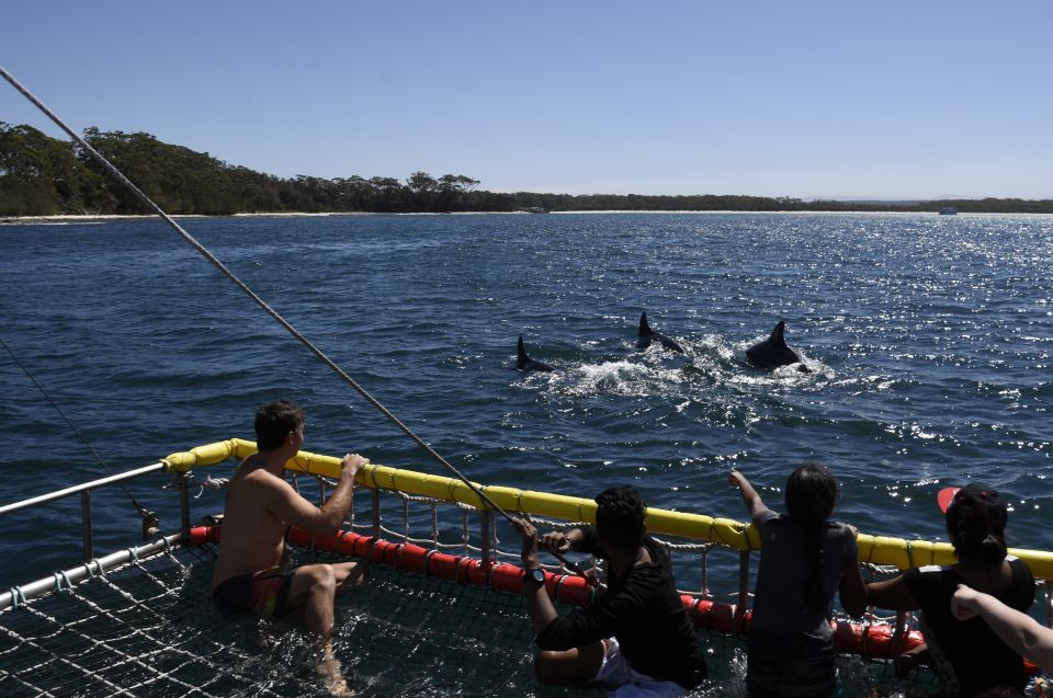 Huskisson: Dolphin Cruise & Boom Netting Experience - Where the value shows up: worth it even if the dolphins don’t show