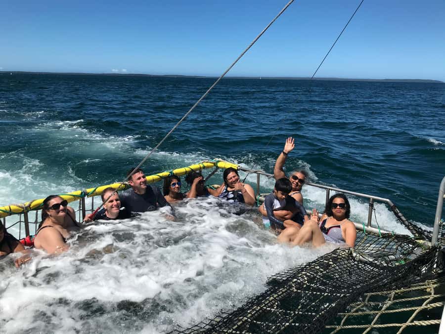 Huskisson: Dolphin Cruise & Boom Netting Experience - Quick itinerary walkthrough (how the 1.5 hours usually feels)