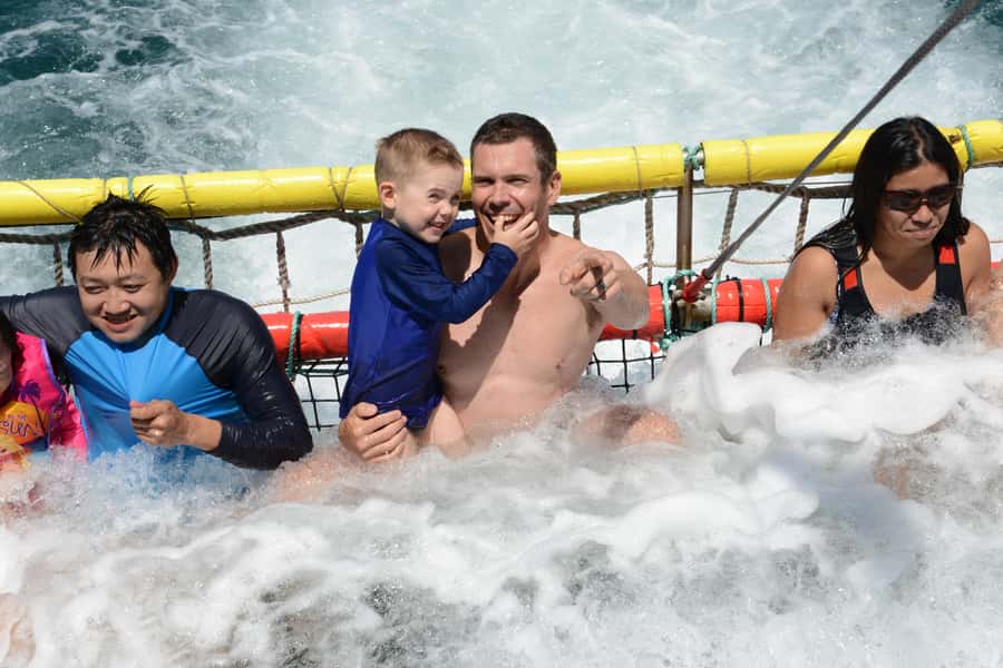 Huskisson: Dolphin Cruise & Boom Netting Experience - Jervis Bay marine park waters: why the scenery matters