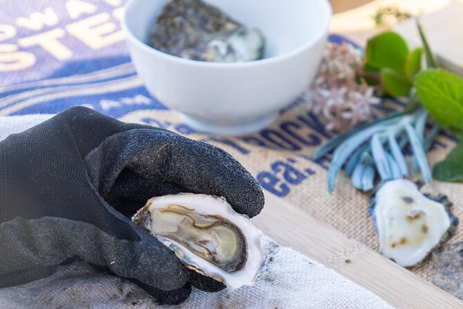 Informative Oyster Activity: Handling, Shucking & Storing + Kayaking - Guides, small groups, and why the vibe matters