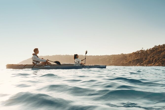 Informative Oyster Activity: Handling, Shucking & Storing + Kayaking - The oyster farm lesson: why Sydney Rock oysters are treated like the main character