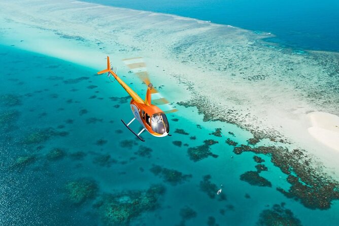 Inner Reef Explorer - 30 minute Reef Scenic Flight - Arlington Reef From Above: Wildlife Spotting That Feels Like a Challenge