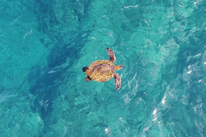 Inner Reef Explorer - 30 minute Reef Scenic Flight - The In-Flight Commentary and the Small-Group Feel