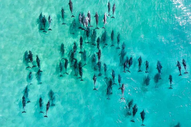 Inner Reef Explorer - 30 minute Reef Scenic Flight - The Helicopter Route Over the Inner Reef: What You’ll Actually See